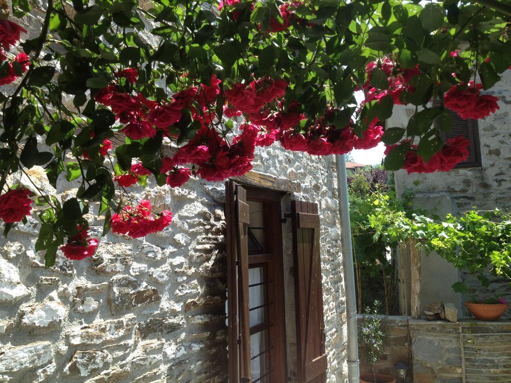 Charming Stone House Villa Parthenon Exterior photo